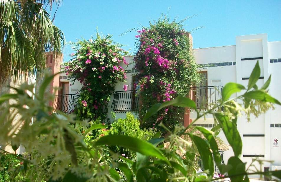 Kriss Otel Ortakent Extérieur photo